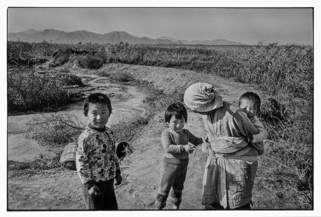 강운구 사진가 대표작 중 하나인 경상남도 김해군 사하 을숙도(부산시 사하구 하단동) 1976. ⓒ강운구, 고은사진미술관 제공