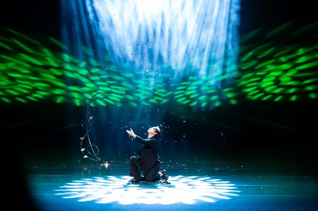 부산매직페스티벌의 지난 공연 모습. 부산국제매직페스티벌 제공