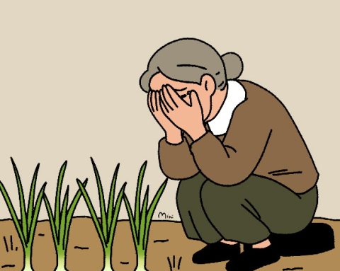 [사랑의 징검다리] 조현병 아들에 힘든 70대 영자 씨