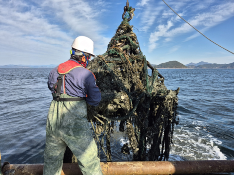 [어촌어항공단 소식] 상괭이 출몰 통영 해역 유실·침적 폐어구 46t 수거 外