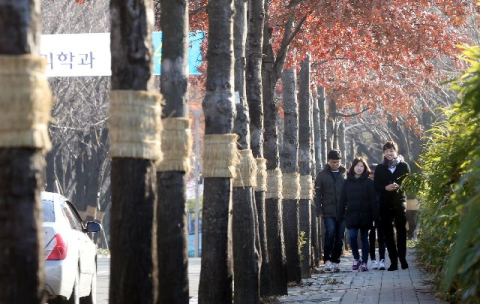 부산·울산·경남 구름 끼고 체감온도 낮아… 낮 최고 6도 안팎