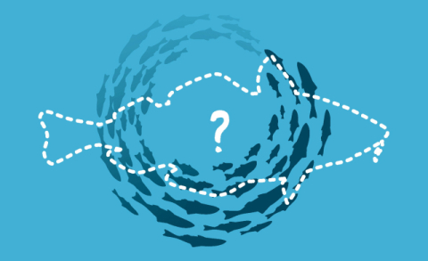 제철 맞은 '가덕대구'