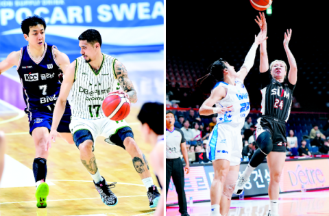 부산 농구 남매 31일 ‘농구영신’ 잡아라