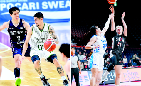 부산 농구 남매 31일 ‘농구영신’ 잡아라