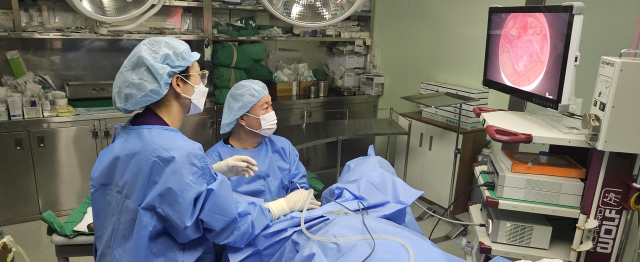 여성의 부정출혈은 연령대별로 원인이 다양하고 질환이 동반될 수도 있어 조기 진단과 치료가 필수다. 순병원 김영삼 원장은 “부정출혈은 여성의 몸이 내보내는 경고등일 수 있는 만큼 원인을 정확히 찾고 그에 따른 적절한 치료와 관리를 받는 것이 중요하다”고 조언했다. 순병원 제공