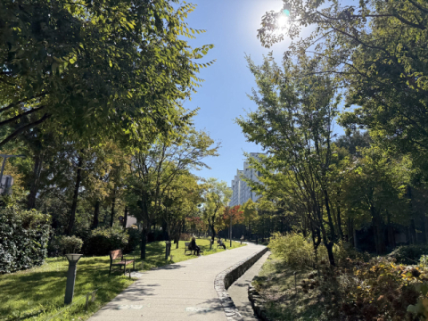 촘촘한 휴식 공간 → 주변 상가 노출 → 상권 호황… 경제 지도 바꾼 벤치 [벤치가 바꾼 세계 도시 풍경]