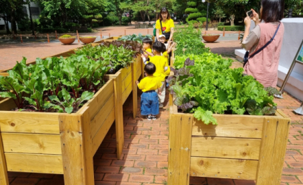김해시 “도심에서 이웃과 함께 텃밭 가꿔요!”
