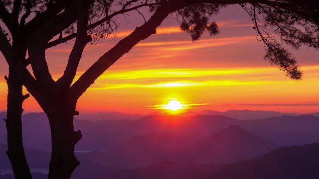 2026년 첫날인 1일 경남 거창군 남상면 감악산 정상에서 바라본 동녘 하늘에 병오년 첫 태양이 붉게 떠오르고 있다. 거창군 제공