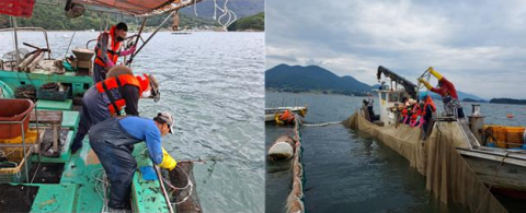 ‘e수산공익직불 서비스’ 개시…