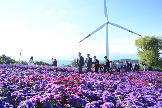 2025 거창군 감악산 꽃별여행축제 모습. 거창군 제공