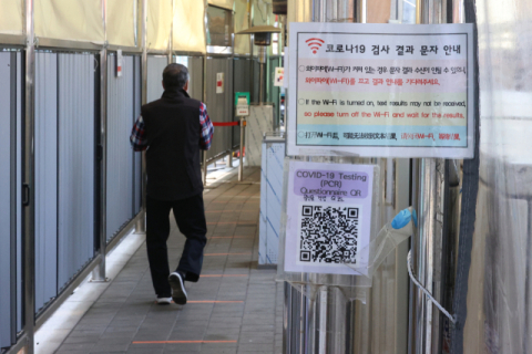 바이러스와 공생하는 박쥐의 비밀 [질병과 건강 이야기]