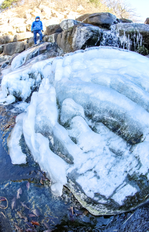 [포토뉴스] 꽁꽁 언 부산