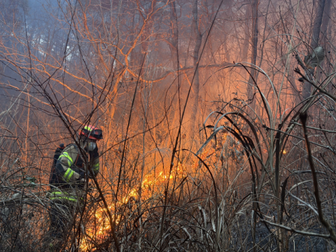 경북 의성 대형 산불 주불 진화… 강한 눈발 덕분