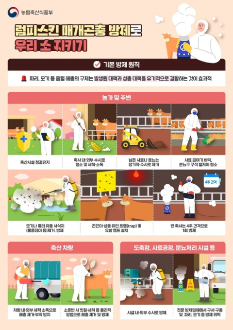 농림축산검역본부 “럼피스킨·블루텅 등 해외 가축질병 국내 유입 없다”