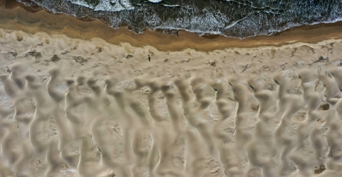 [포토뉴스] 부산에 사하라 사막?