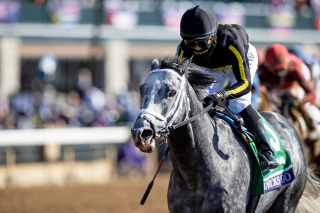 닉스고가 미국에서 활동하던 당시의 모습. 한국마사회 제공