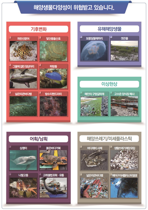 공해, 심해저 등 국가관할권이 미치지 않는 바다의 생물다양성을 보전하고 지속가능하게 이용하기 위한 ‘공해 해양생물다양성 협정(BBNJ 협정)’이 오는 17일부터 발효된다. 사진은 해양생물다양성 위협 사례. 해수부 제공