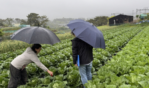 기장군, 기후변화 대비 농작물 병해충 선제 관리나서
