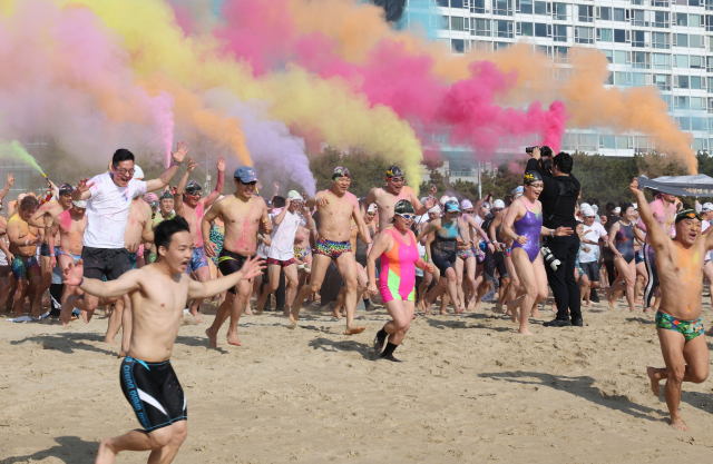 참가자들이 차가운 겨울바다에 뛰어들고 있다. 정종회 기자 jjh@