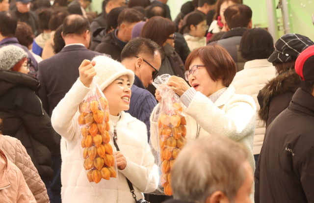 제10회 지리산 함양고종시 곶감축제 마지막 날인 18일 경남 함양군 상림공원 곶감 판매 부스에서 함양고종시 타레곶감을 구입한 관광객들이 곶감을 들어 보이며 즐거워 하고 있다. 함양군 제공