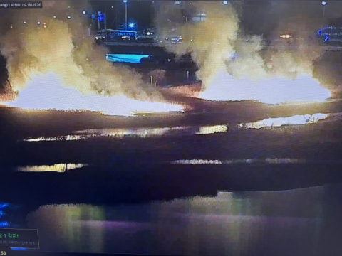 울산 명촌교 갈대밭서 큰 불…1시간 만에 완진