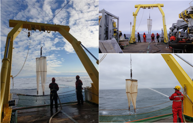 아라온호 북극해 동물플랑크톤 채집활동. 극지연구소 제공