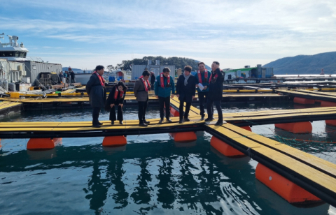 고수온에 데인 양식장, 이번엔 저수온에 '냉가슴'