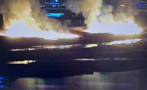 울산 명촌교 갈대밭서 큰 불…1시간 만에 완진