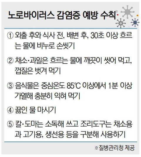 노로바이러스 감염증 환자 10주 연속 증가세