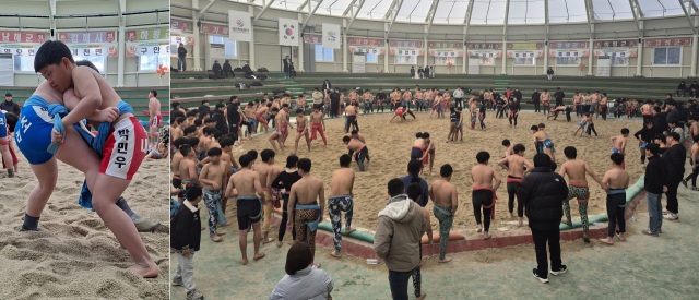고성군이 사계절 내내 온화한 해양성 기후와 꾸준한 시설 기반 구축, 적극적인 스포츠마케팅이 어우러져 국내 최고 동계 전지훈련지로 각광받고 있다. 오는 3월까지 9개 종목, 총 262개 팀, 6300여 명이 고성에서 올 시즌 담금질을 진행한다. 고성군 제공