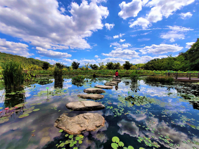 상림공원 제공. 함양군 제공