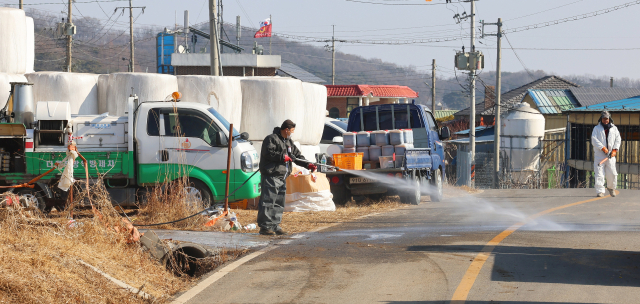 구제역이 발생한 인천 강화군 한 한우농장 앞에서 31일 방역본부 관계자가 소독약을 살포하고 있다. 연합뉴스