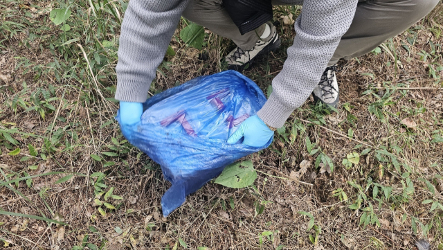 야바 6만 7000정이 들어 있는 박스. 경남경찰청 제공