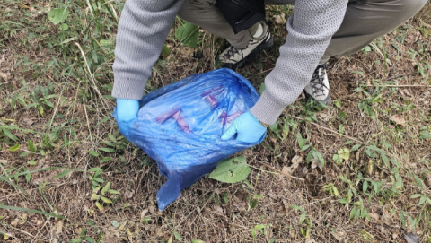 SNS로 태국 마약 국내로… 밀수조직 21명 검거