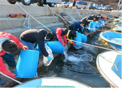 부산시 수산자원연구소, '대구 100만 마리' 방류