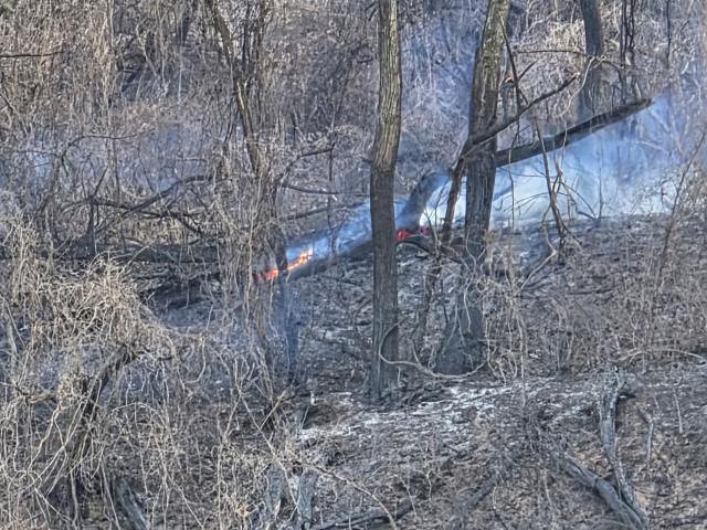 불은 인근 야산으로 번져 긴급 진화 작업이 펼쳐졌다. 김현우 기자