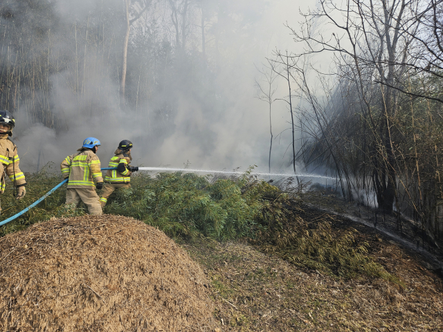 6일 오전 11시 44분께 부산 기장군 장안읍 한 야산에서 불이 났다. 부산소방재난본부 제공