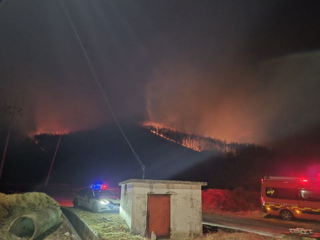 지난 7일 오후 9시 40분께 경북 경주시 문무대왕면 입천리 야산에서 산불이 발생해 소방 당국이 진화작업을 이틀째 벌이고 있다. 연합뉴스