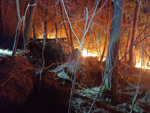 경남 함양·거창 야산서 산불…산림 불 타