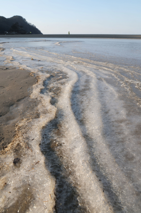 [포토뉴스] 부산 바닷물마저 얼린 매서운 한파