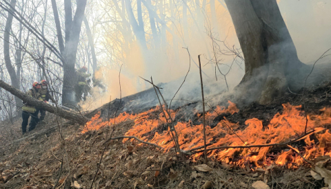 경주 문무대왕면 산불 강풍에 이틀째 확산…'국가소방동원령1호' 발령