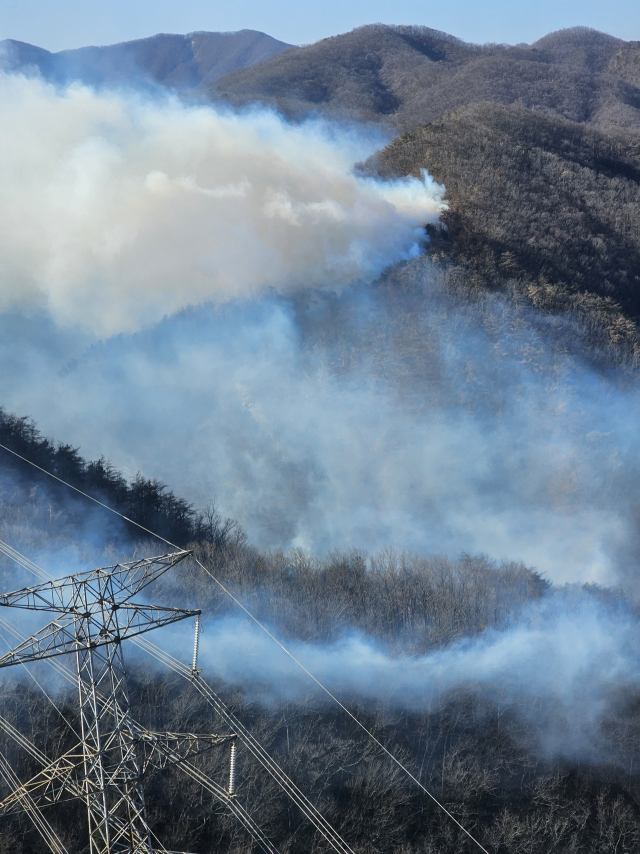 8일 경북 경주시 문무대왕면 입천리의 야산이 산불 연기로 덮여 있다. 소방 당국 등은 전날부터 이어진 산불을 진화하고 있다. 연합뉴스