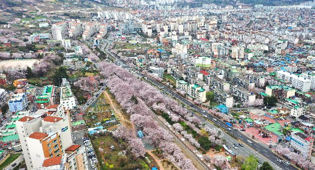 경남 창원시 진해구 도심 전경. 연합뉴스