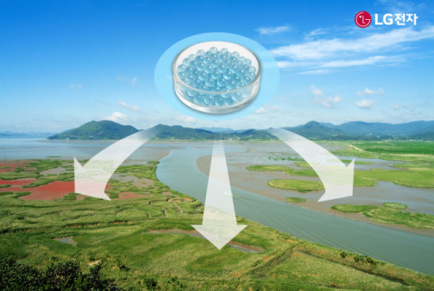 LG전자·순천시·서울대, 순천만 갯벌 복원 나선다
