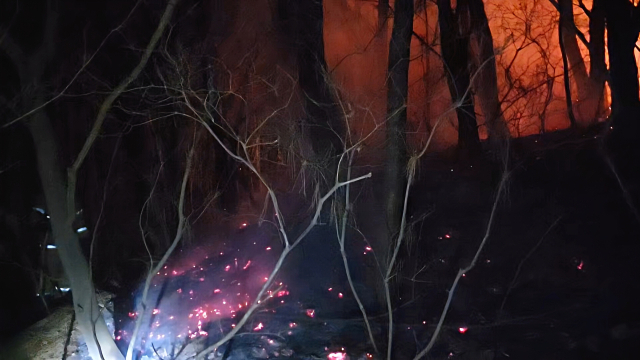 지난 8일 해발 399.3ｍ 부산 동래구 쇠미산 금정봉 8분 능선에서 불이 났다. 산불은 다음 날인 지난 9일 화재 발생 16시간여 만에 꺼졌다. 부산소방재난본부 제공