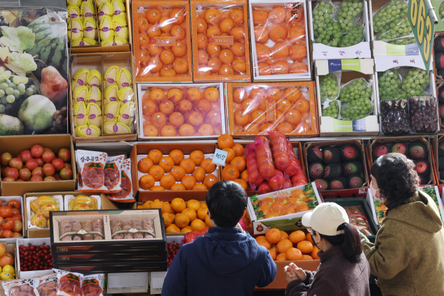 설 명절을 맞아 먹거리 물가가 전반적으로 올라 장바구니 부담이 커지고 있다. 설날을 닷새 앞둔 지난 12일 광주 서구 매월동 서부농수산물도매시장에서 시민들이 과일을 살펴보고 있다. 연합뉴스