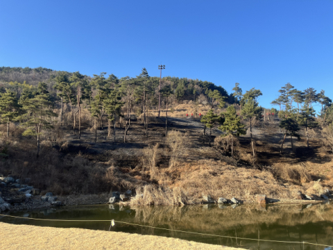 부산 기장군 골프장 불… 1시간 20분 만에 초진