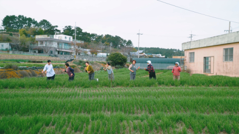 문동마을 주민들이 쪽파밭에서 ‘파도 치유 체조’를 시연하고 있다. 문동생활권 어촌신활력증진사업 앵커조직 제공