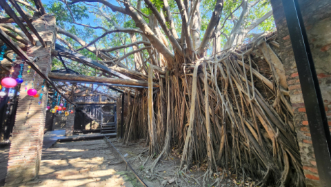 대만 가장 오래된 도시 타이난, 과거와 현재가 공존하는 곳