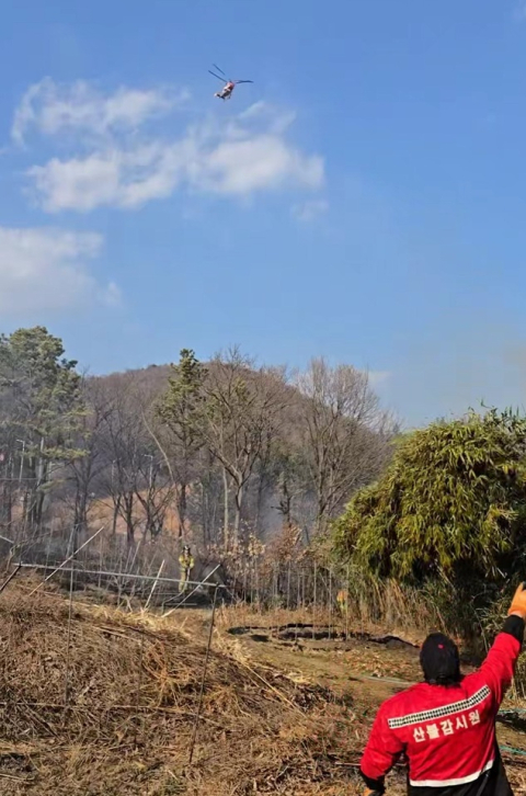 건조주의보 속 울산 북구서 산불…1시간 20분 만에 초진